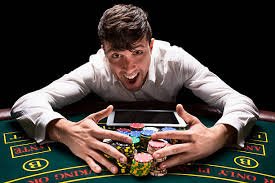 pugbet8