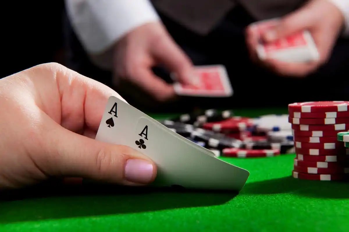 pugbet8